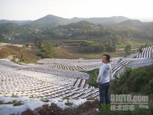 山上的果实——云南小罗采风_写真_20