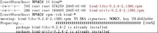 RHEL4- DNS服务（一）bind包系列的安装和DNS服务的启动_安装_02