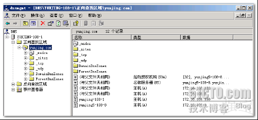 DNS使用技巧_Windows_10