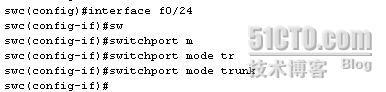 vlan trunk配置_休闲_17