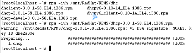 linux 下的DHCP 安装 配置_DHCP_02