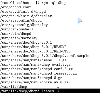 linux 下的DHCP 安装 配置_DHCP_05