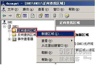 一起学DNS系列（五）创建DNS正向、反向查找区域_休闲