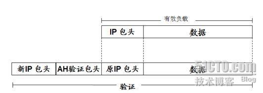 虚拟专网(二)_虚拟专网