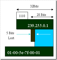 Multicast（组播）_Multicast