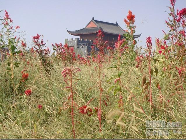 国庆一日游之天香园游记_国庆_08