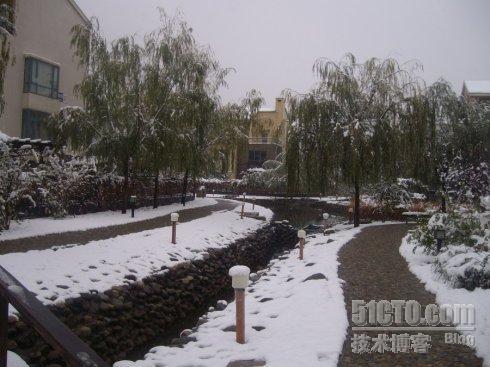 北京今年第一场雪_树挂_03