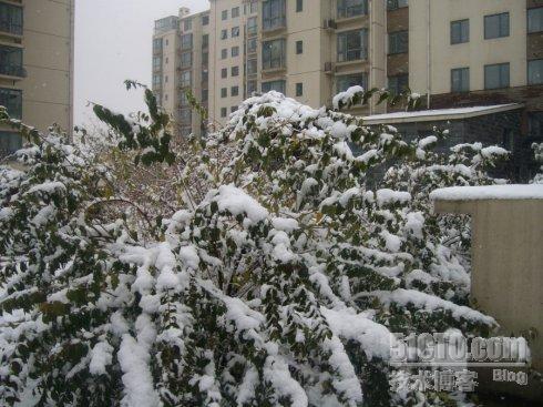 北京今年第一场雪_北京_06