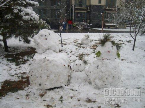 北京今年第一场雪_大雪_08