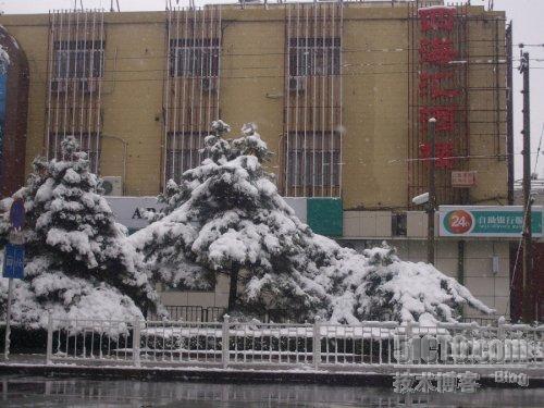 北京今年第一场雪_大雪_10