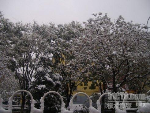 北京今年第一场雪_雪人_11