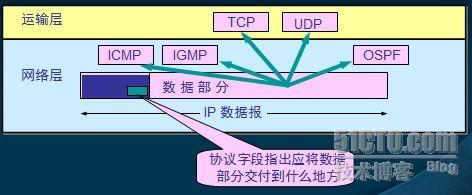 TCP/IP之IP_职场_15