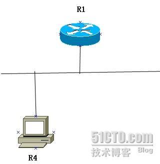 IRDP试验参考_IRDP_03