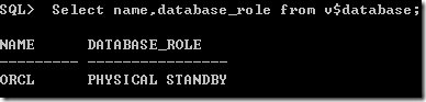 ORACLE 11G DATA GUARD主从切换_DATA_02