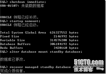 ORACLE 11G DATA GUARD主从切换_ORACLE_04