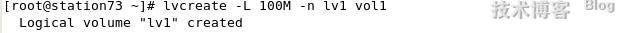 LVM 逻辑盘卷管理_lvm_05