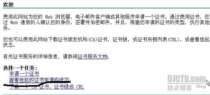 关于再做发布安全web网站时有关证书方面的注意_职场_16