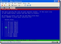 使用WM ware 安装solaris 详解_详解_06