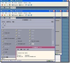 使用WM ware 安装solaris 详解_ware_44