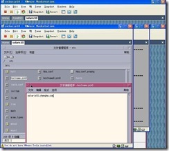 使用WM ware 安装solaris 详解_solaris_47