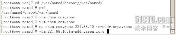 RHEL 5.0 DNS服务器配置_linux_15