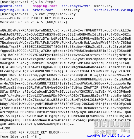 用gpg实现文件的加密_职场_08