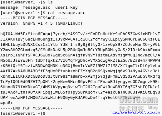 用gpg实现文件的加密_休闲_11