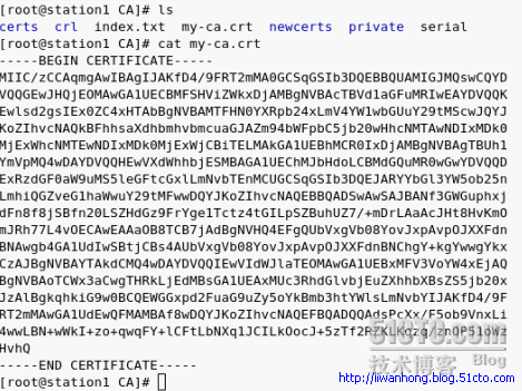 Openssl自签名证书_休闲_07