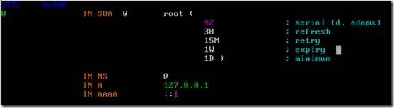 linux下搭建bind域名服务器_休闲_09