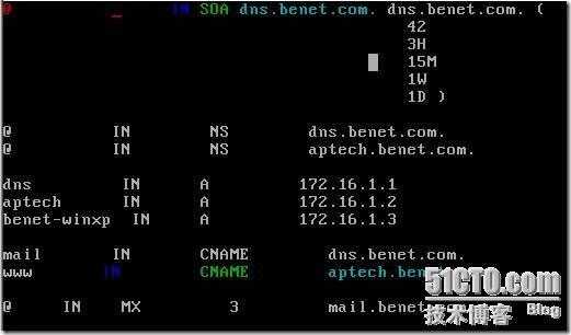 linux下搭建bind域名服务器_域名服务器　_15