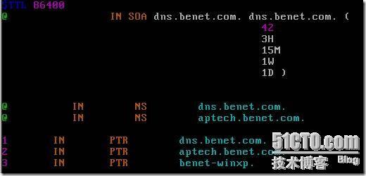 linux下搭建bind域名服务器_休闲_16