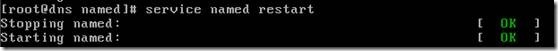 linux下搭建bind域名服务器_linux_20