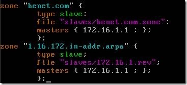linux下搭建bind域名服务器_域名服务器　_27