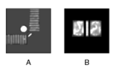 NI Vision for LabVIEW 基础(五): 完成机器视觉任务_Vision_08