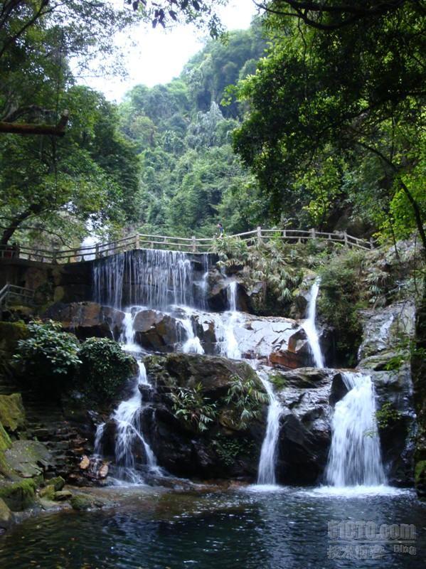 五一假期总结_鼎湖山_13