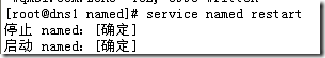 RHEL 5.4 RHCE253 DNS学习笔记_DNS_09