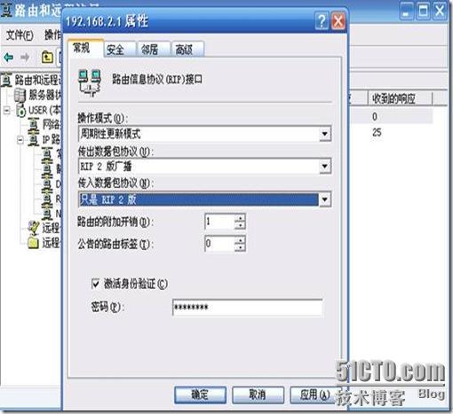 2003server上作RIPv2广播_职场_04