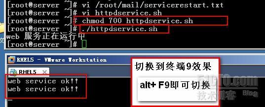 linux下通用脚本。实战_linux自动化_16