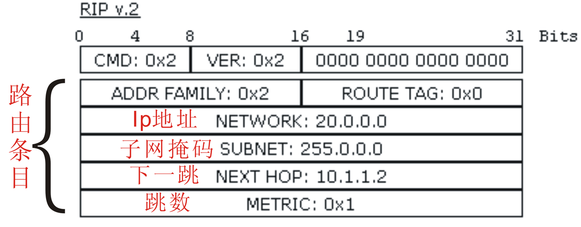 CCNA入门---RIPV2的消息格式_格式