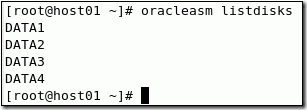 在单节点上安装 Oracle Grid Infrastructure_单节点_11