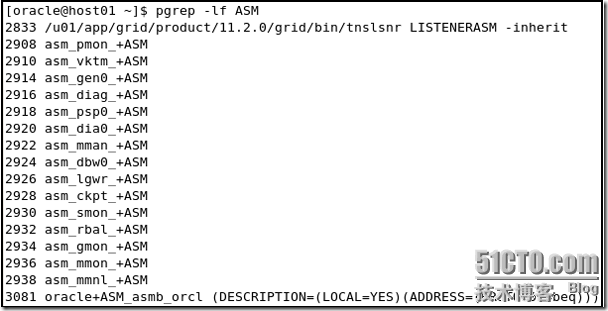 在单节点上安装 Oracle Grid Infrastructure_职场_71