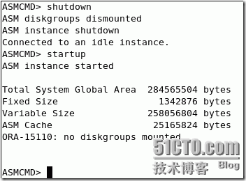 在单节点上安装 Oracle Grid Infrastructure_单节点_77