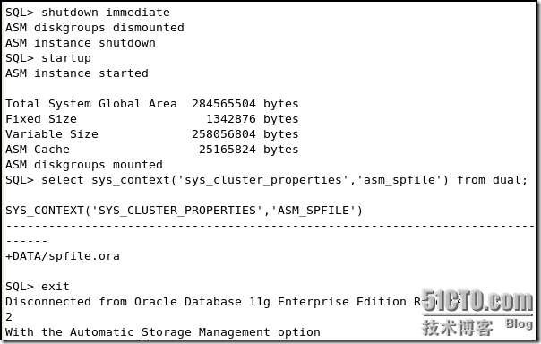 在单节点上安装 Oracle Grid Infrastructure_休闲_82