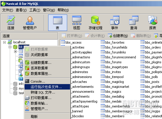 使用Navicat 8.0管理mysql数据库(导出导入数据)_备份_03