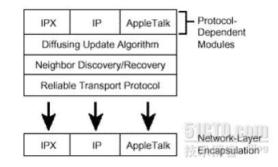 EIGRP_职场