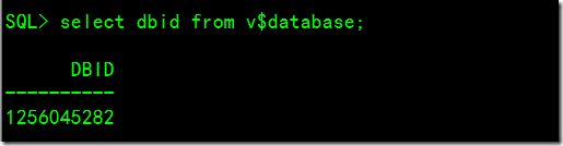 丢失oracle参数文件，数据文件以及控制文件，只有rman备份的恢复_oracle_02