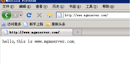 nginx（三）初步搭建nginx虚拟主机_职场_04