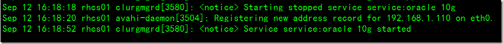 rhcs with oracle 10g on rhel5.5_休闲_36