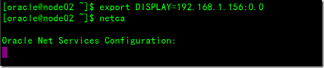 Configure HA for Oracle with Single Instance Oracle ASM_Configure_06