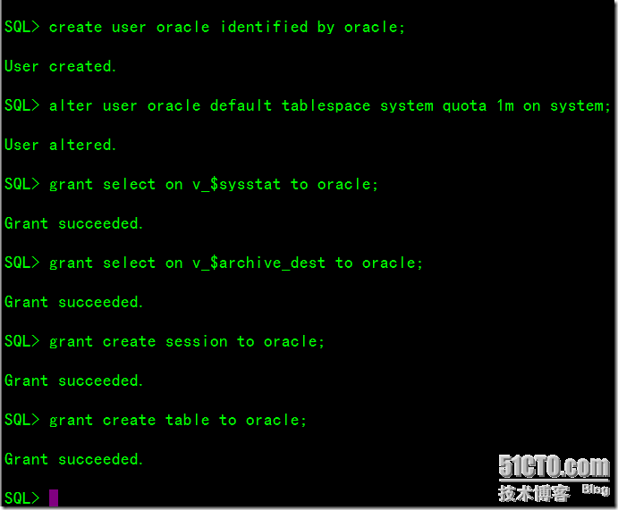 Configure HA for Oracle with Single Instance Oracle ASM_Configure_27